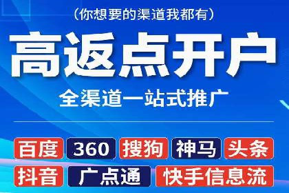 行业标杆的SEM竞价营销案例研究